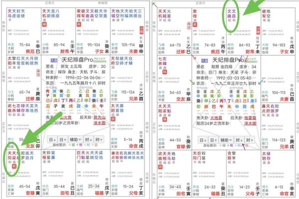 紫薇斗数中绝是什么意思