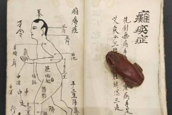 中医算命