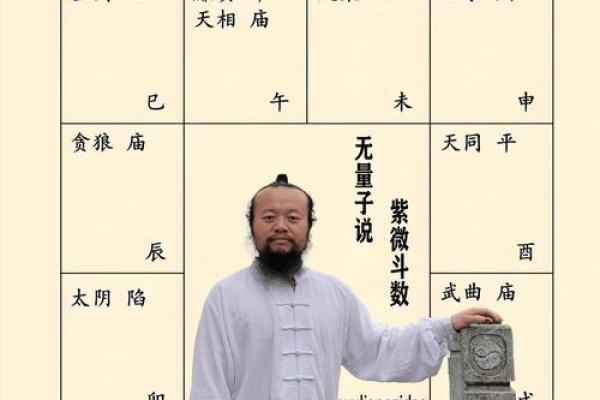 紫薇斗数的命宫是怎么坐的
