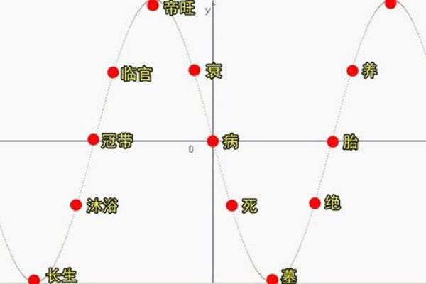 紫薇斗数十二长生