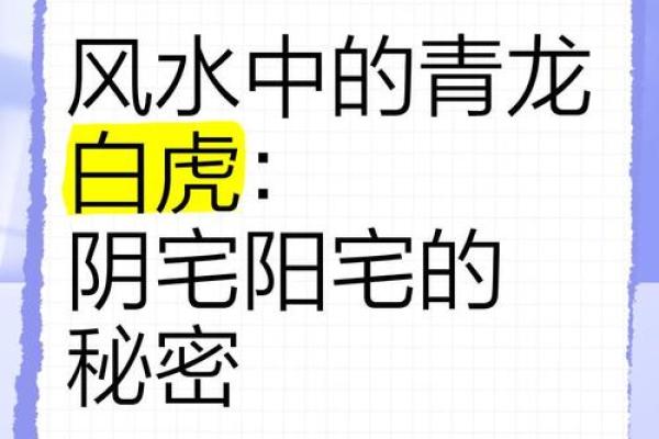 风水的左青龙右白虎是什么意思