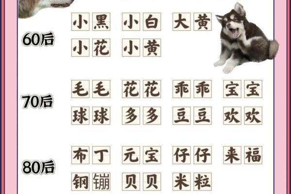 下午四点出生的属狗男孩怎么取名，用什么字好姓名