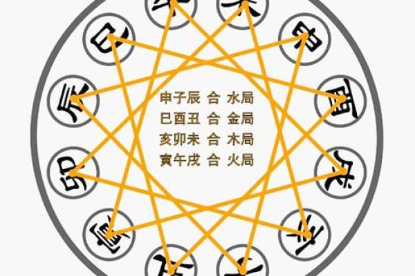 八字解析之-----地支三合三会