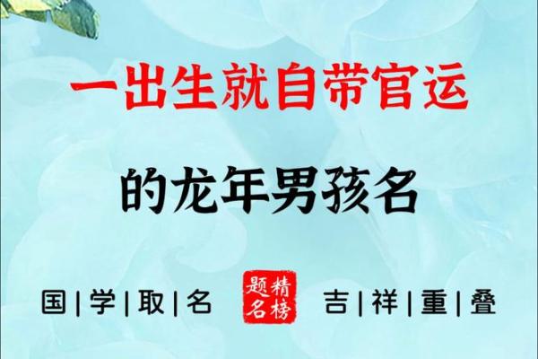 属龙亥时出生的男孩起什么名，应该用什么字姓名