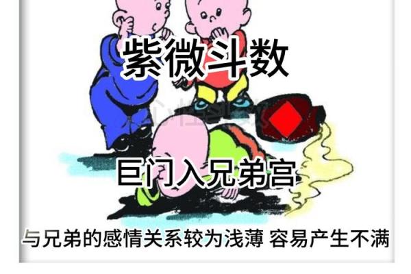 巨商紫薇斗数