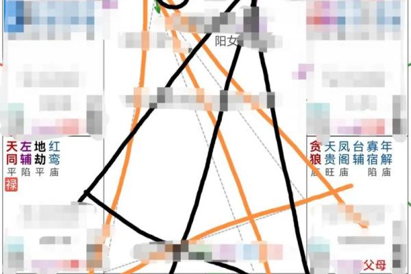 紫薇斗数偏财运好