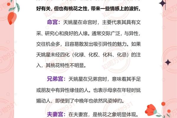 紫薇斗数 得怎么解释