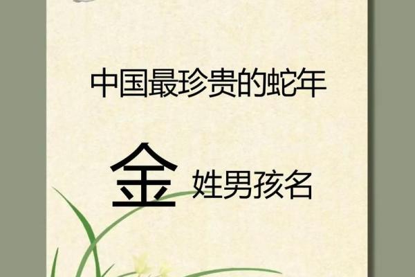 2019年5月23号卯时出生的男孩如何起名姓名
