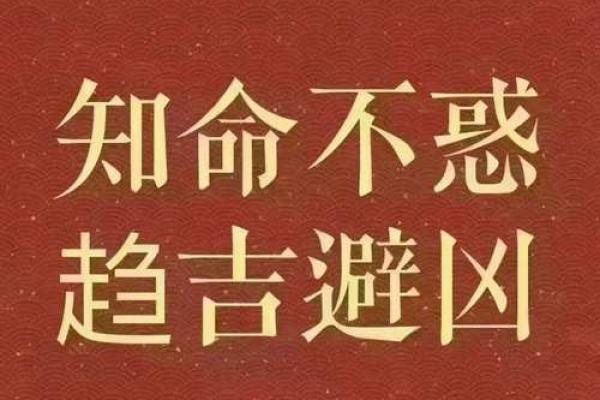 八字灾祸