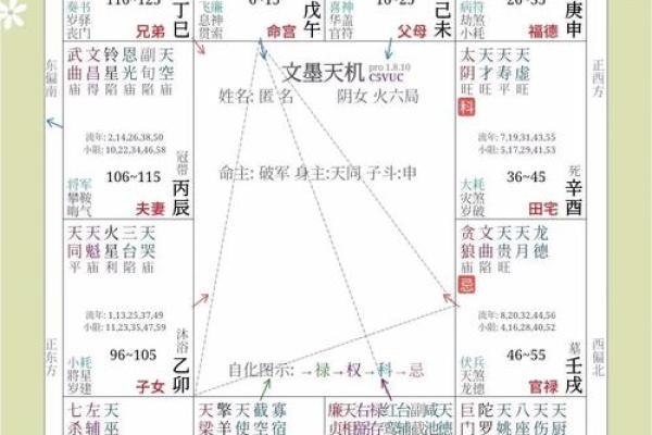 紫微排盘,紫微斗数怎么看自己的才华