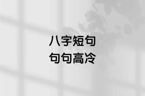 伤感八字短句