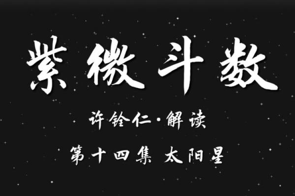 紫薇斗数龙眠