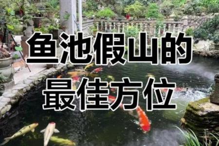 房子门口可以有鱼池吗风水