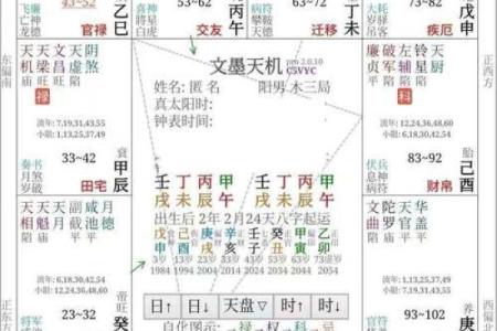 名人的紫薇斗数