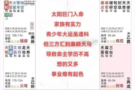 倪师紫薇斗数