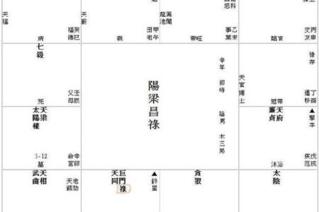 紫薇斗数对盘