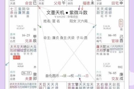 紫微斗数114种命盘