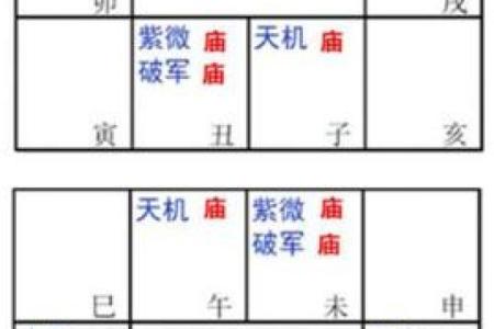 紫薇斗数太阳入命宫