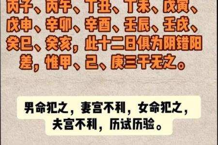 八字四阴四阳
