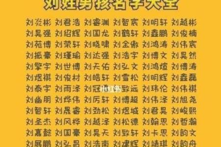 2019年5月17号寅时出生的男孩起名方法姓名