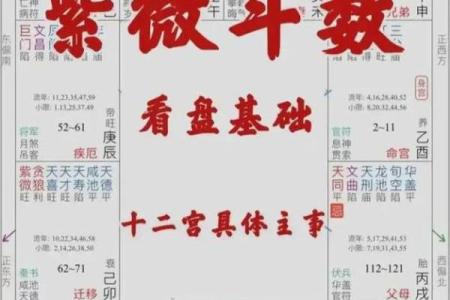 紫薇斗数怎样解盘