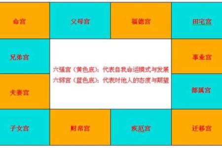紫薇星化忌怎么看