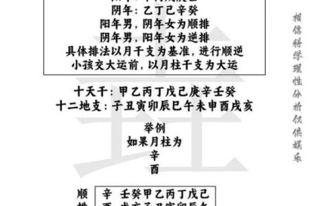 八字看什么