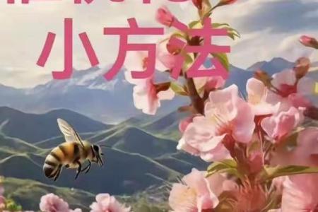 八字桃花旺