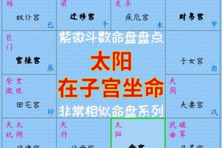 紫薇斗数子午宫