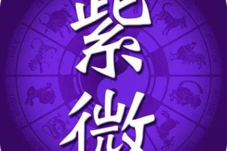 测紫薇斗数app