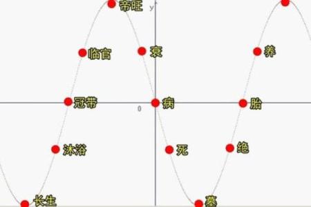 紫薇斗数十二长生