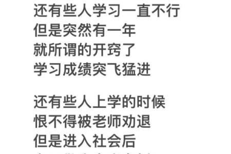生辰八字评论