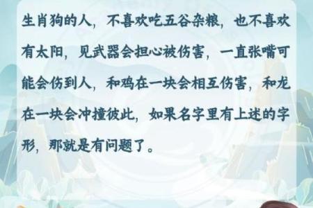 下午四点出生的属狗男孩怎么取名，用什么字好姓名