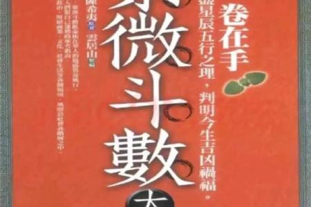紫薇斗数外国人