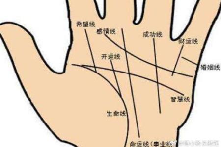 女生手相看命运，解析八字大全