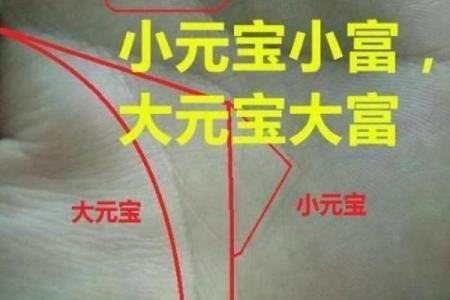 图解：手相金星环算命
