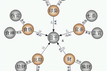 八字五行、十神的生克运行