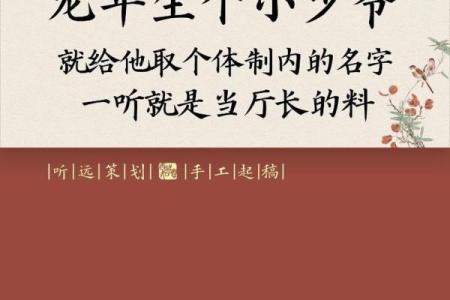 属龙亥时出生的男孩起什么名，应该用什么字姓名