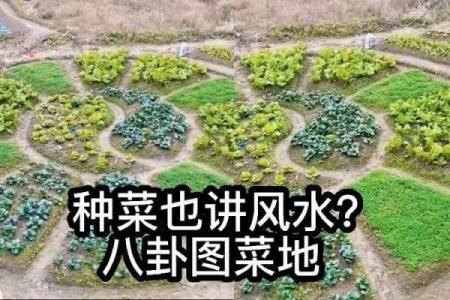 农村老房子与菜地风水布局