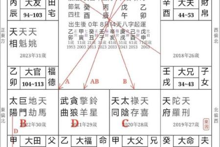 紫微斗数武曲星入命宫,武曲命格的女生啥性格