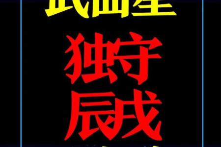 紫薇斗数中的孤星独守