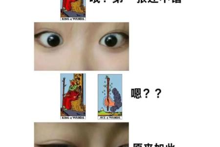 塔罗测试：你在事业上的野心能实现吗？