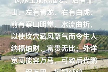 怎么看农村祖坟风水宝地的要求