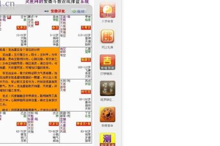 紫薇斗数网站在线排盘