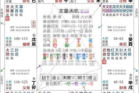 紫薇斗数运势100