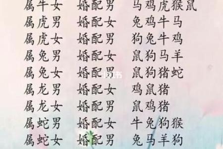 合八字属鼠男与属兔女适合做夫妻吗 婚配好吗