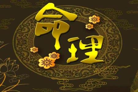 八字巳申