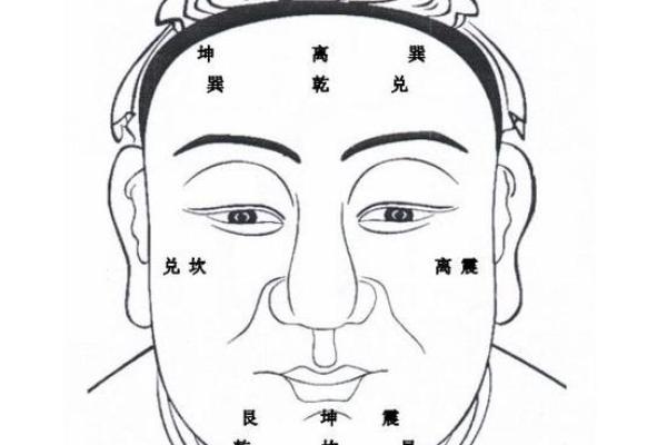 有关印堂面相算命图解