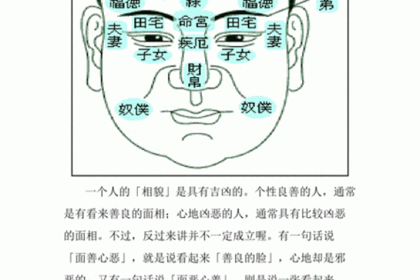 五官看面相算命图解男 男人五官面相大全