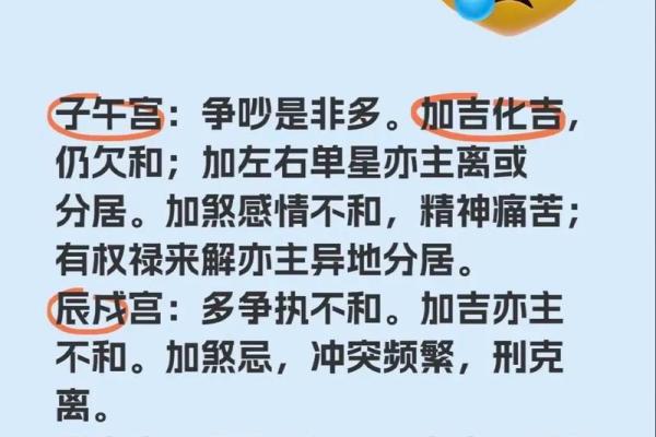紫微斗数之夫妻宫与诸星,武曲星在夫妻宫是什么意思? 紫微斗数之夫妻宫与诸星,武曲星在夫妻宫是什么意思?